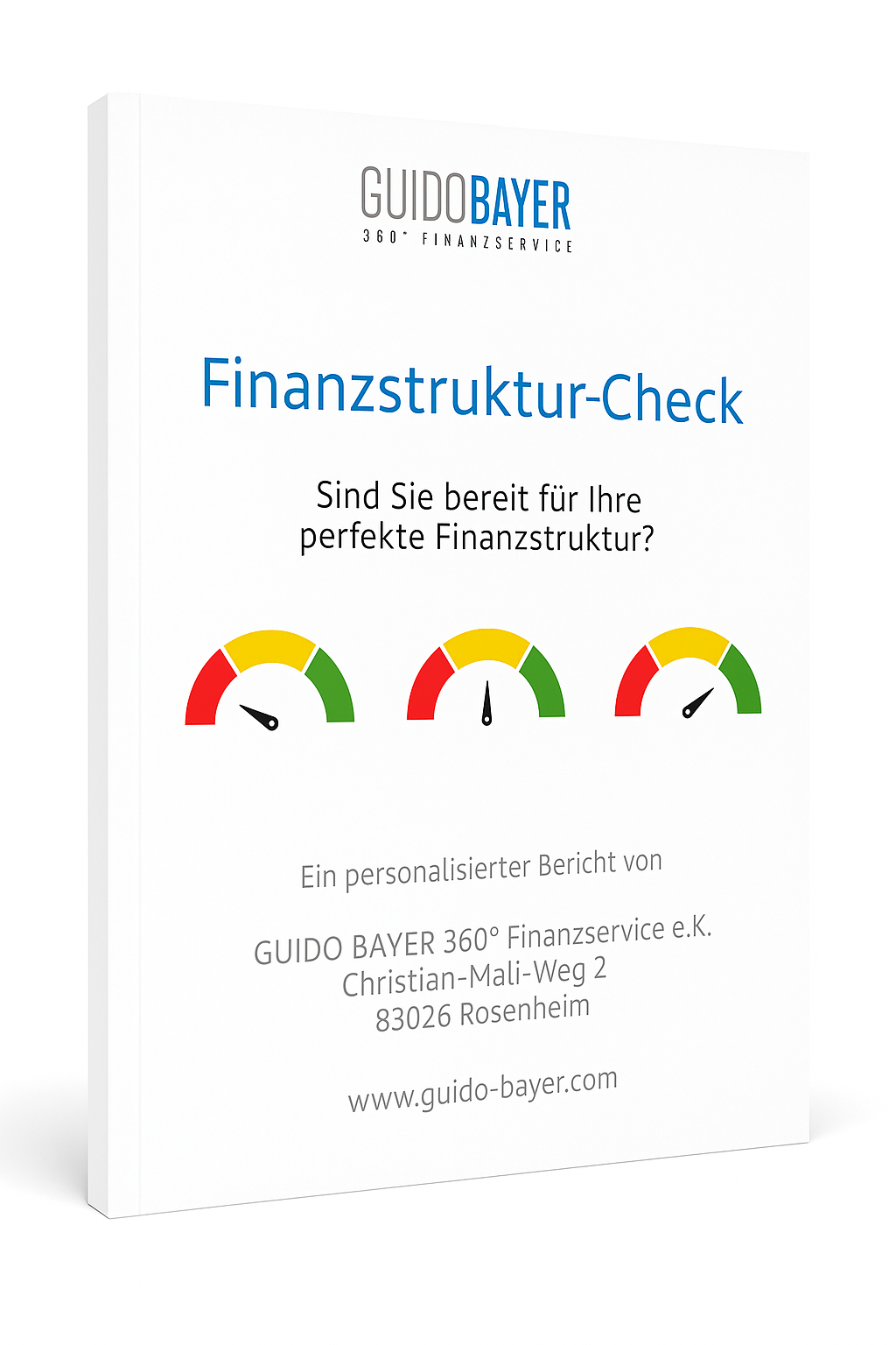 Mockup Finanzstruktur-Check